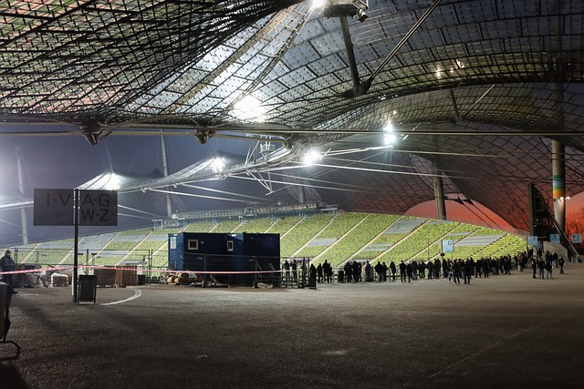 的未来明星 的未来明星