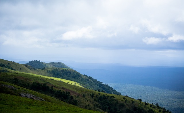 元的低票价 元的低票价